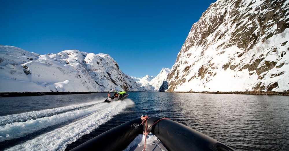 Lofoten-explorer-winter-sea-eagle2