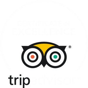 Tripadvisor-excellent-logo-2019